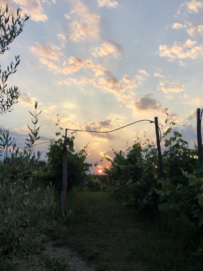 Cardo Boutique&Wine Resort Malchina ภายนอก รูปภาพ