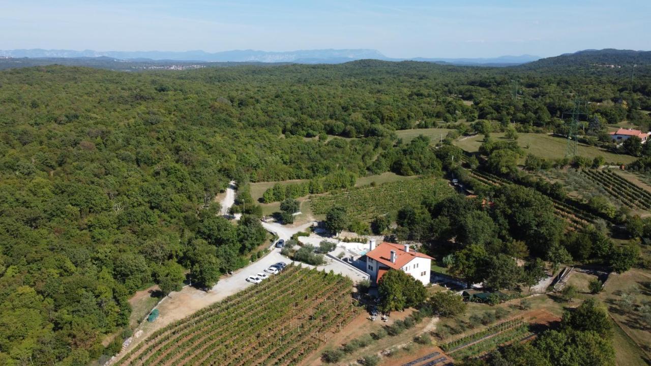 Cardo Boutique&Wine Resort Malchina ภายนอก รูปภาพ