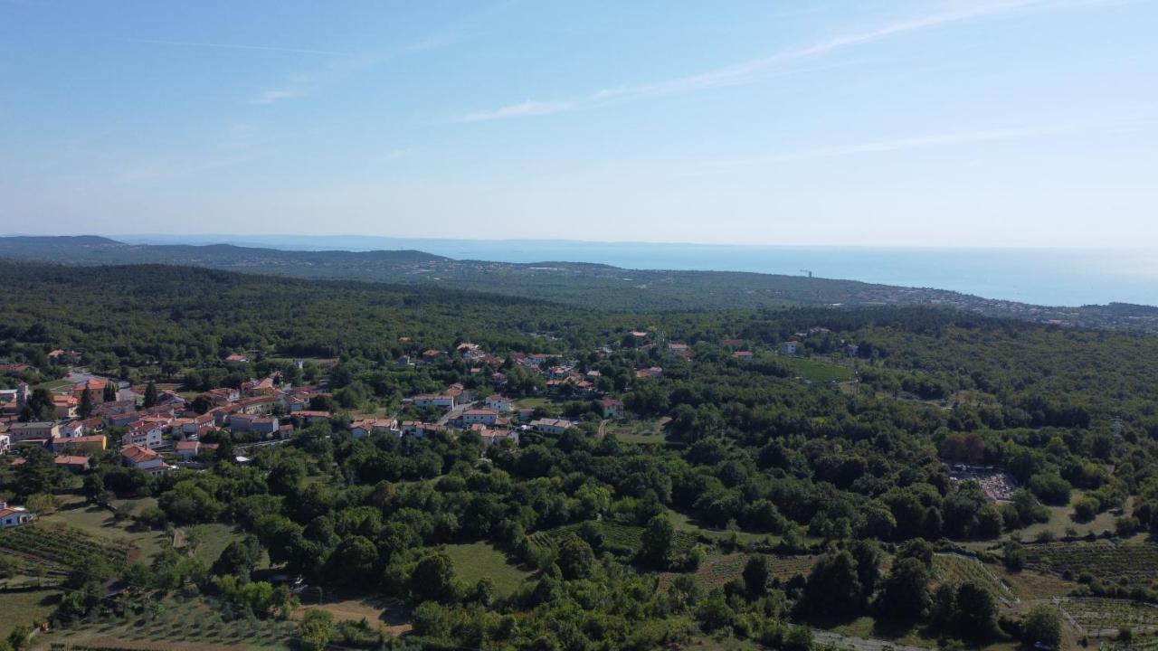 Cardo Boutique&Wine Resort Malchina ภายนอก รูปภาพ