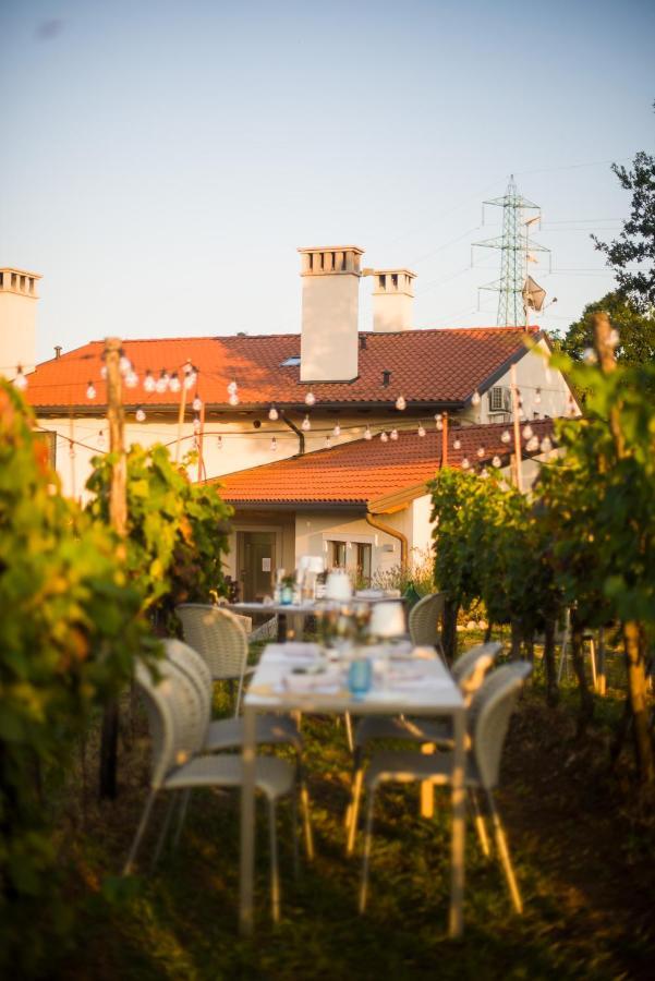 Cardo Boutique&Wine Resort Malchina ภายนอก รูปภาพ
