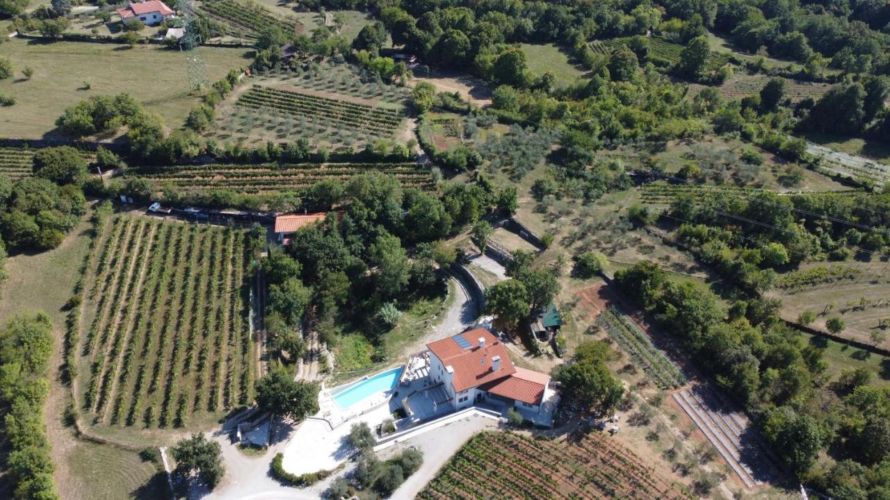 Cardo Boutique&Wine Resort Malchina ภายนอก รูปภาพ